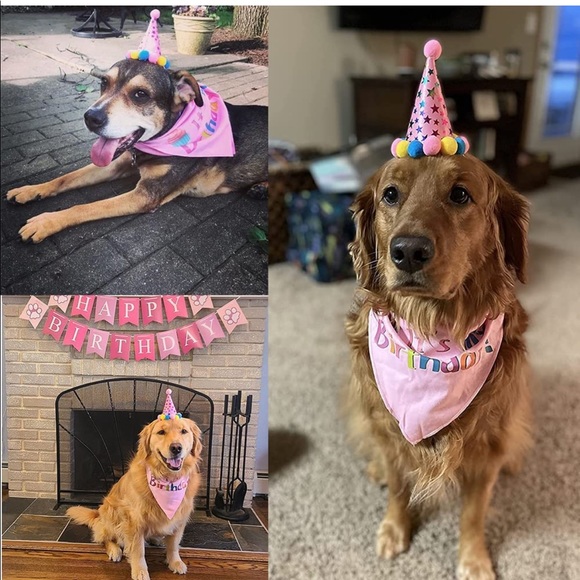 NWOT Pooch First Birthday - Picture 5 of 10